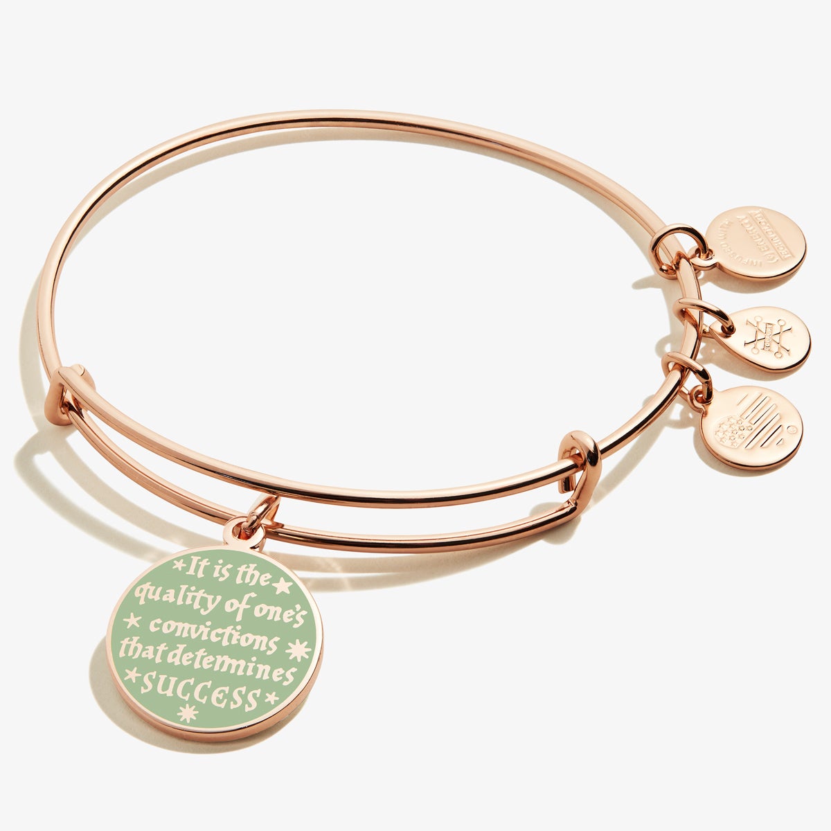 Harry Potterâ„?'Quality of Convictions' Charm Bangle