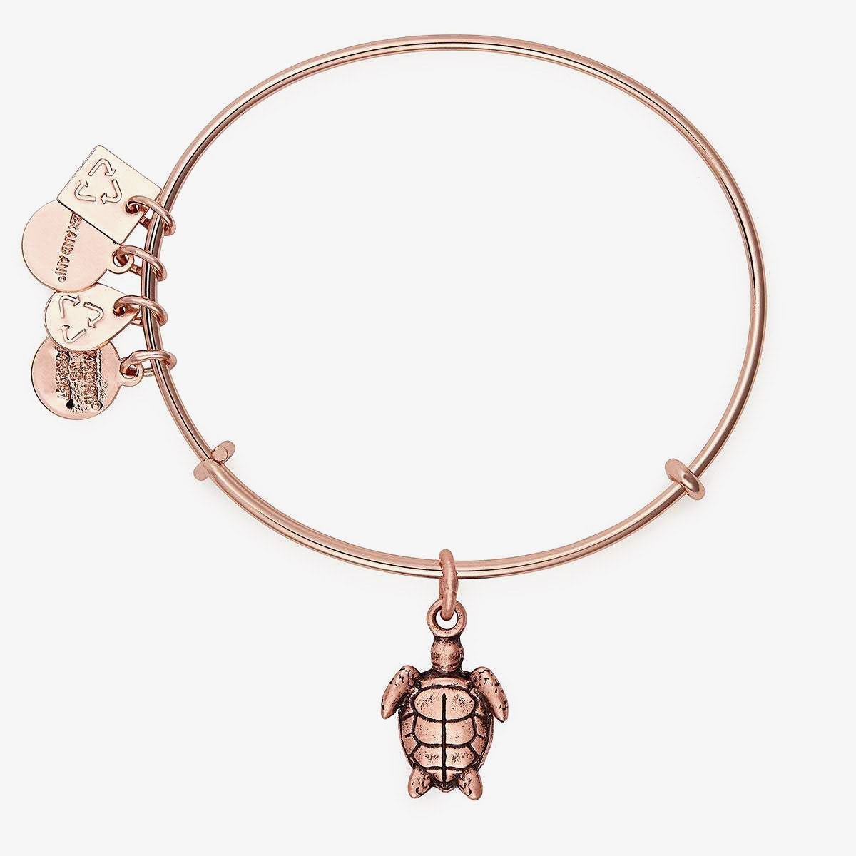 Sea Turtle Charm Bangle